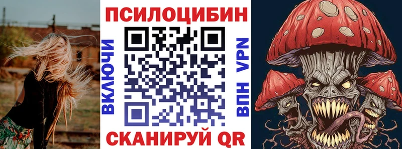 Галлюциногенные грибы Psilocybine cubensis  Вязники 